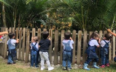 Empezar el jardín o el colegio, todo un reto en la crianza